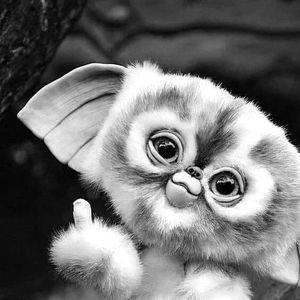 Meet your Posher, Tom